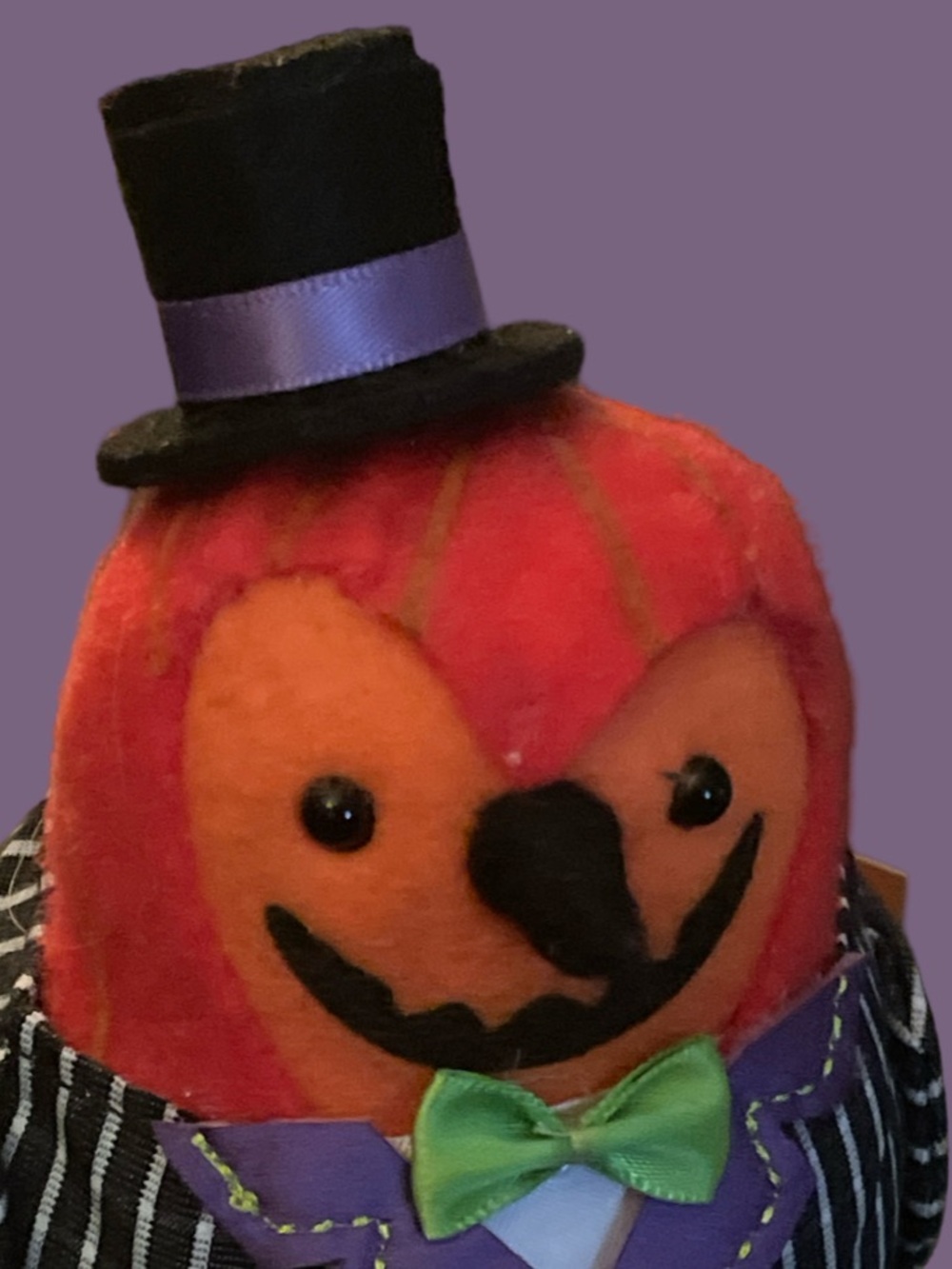Target 2024 Halloween Featherly Friends Fabric Bird GOURDON Pumpkin NWT New
